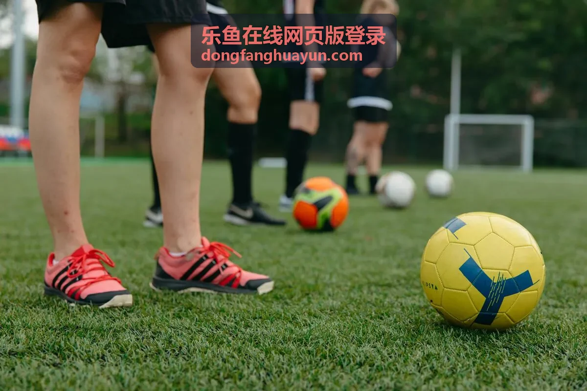 乐鱼在线网页版登录多重安全验证方式