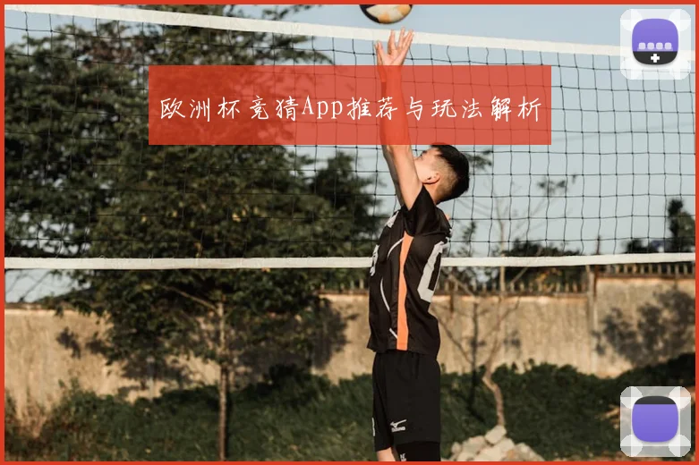 欧洲杯竞猜App推荐与玩法解析