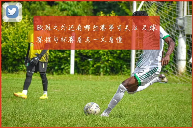 欧冠之外还有哪些赛事可关注 足球赛程与杯赛看点一文看懂