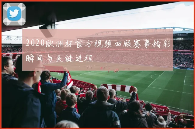 2020欧洲杯官方视频回顾赛事精彩瞬间与关键进程