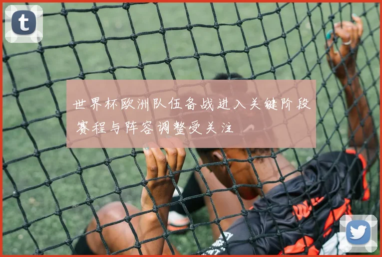 世界杯欧洲队伍备战进入关键阶段 赛程与阵容调整受关注