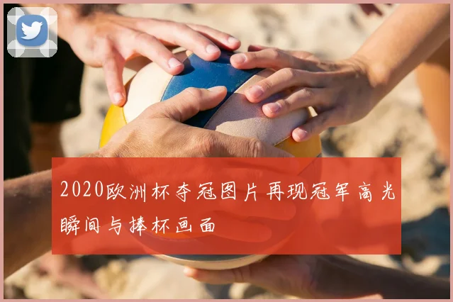 2020欧洲杯夺冠图片再现冠军高光瞬间与捧杯画面
