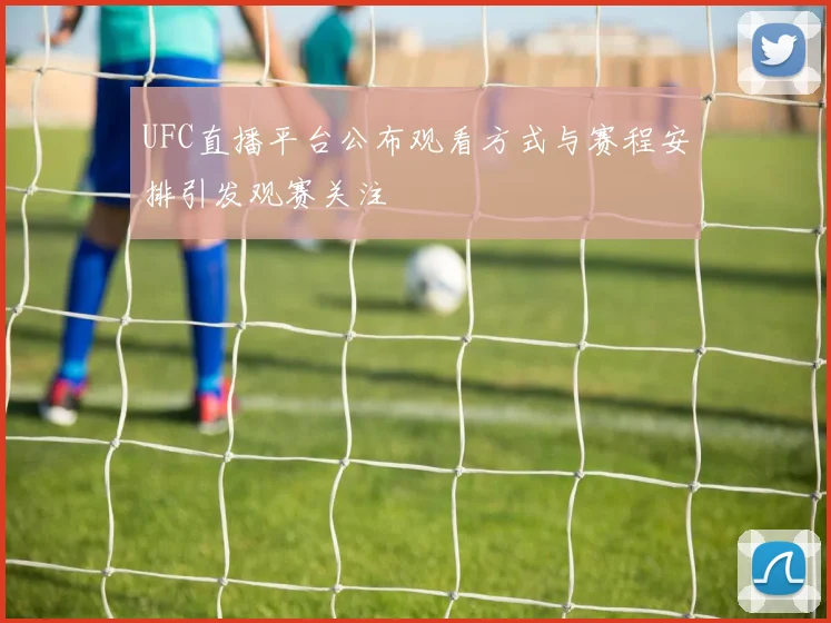 UFC直播平台公布观看方式与赛程安排引发观赛关注