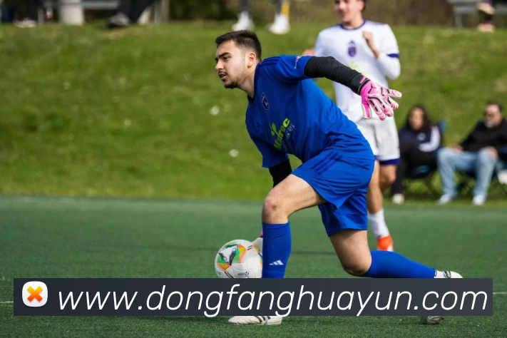 在线足球官网平台生态图